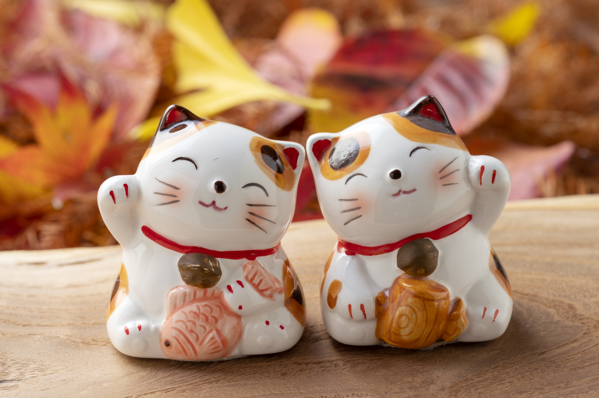 招き猫と紅葉